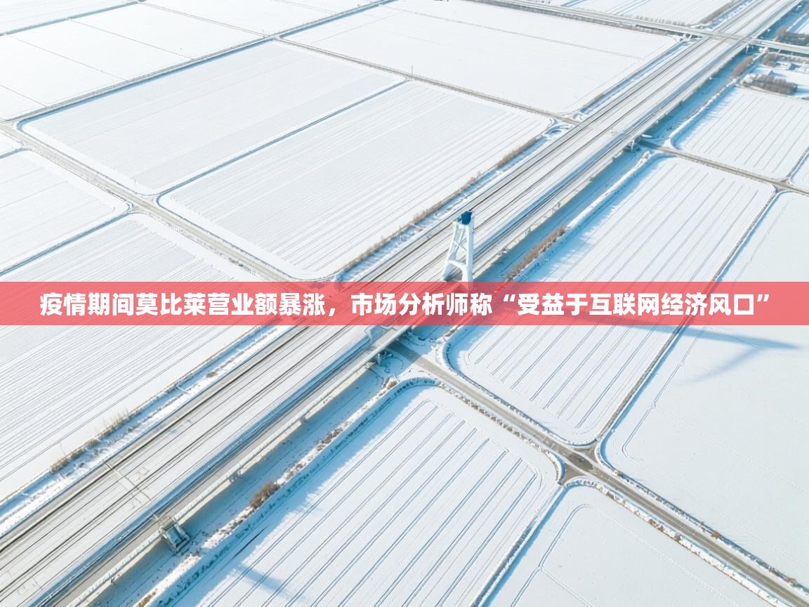 蓝鲸体育app下载-疫情期间莫比莱营业额暴涨，市场分析师称“受益于互联网经济风口”  第1张