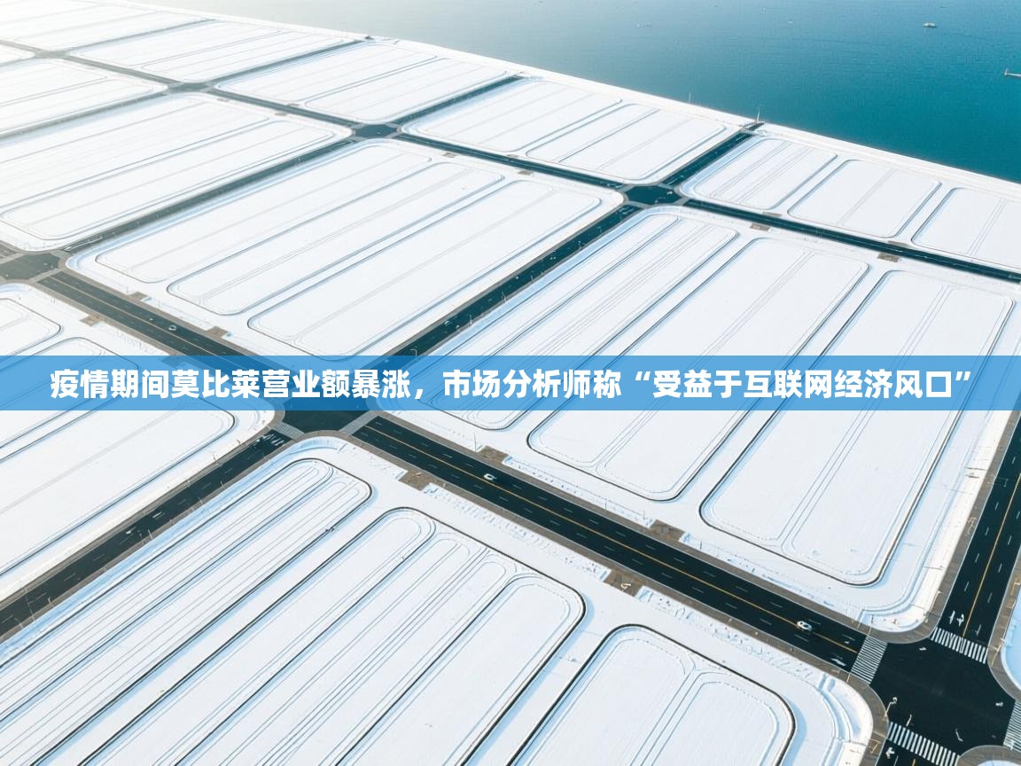 蓝鲸体育app下载-疫情期间莫比莱营业额暴涨，市场分析师称“受益于互联网经济风口”  第2张