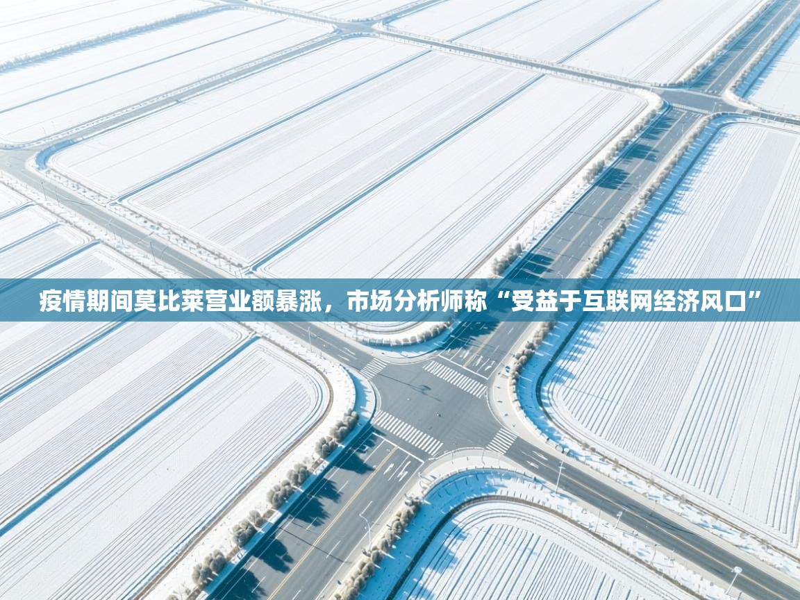 蓝鲸体育app下载-疫情期间莫比莱营业额暴涨，市场分析师称“受益于互联网经济风口”  第3张