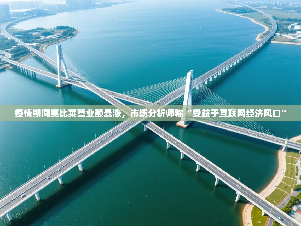 蓝鲸体育app下载-疫情期间莫比莱营业额暴涨，市场分析师称“受益于互联网经济风口”  第4张