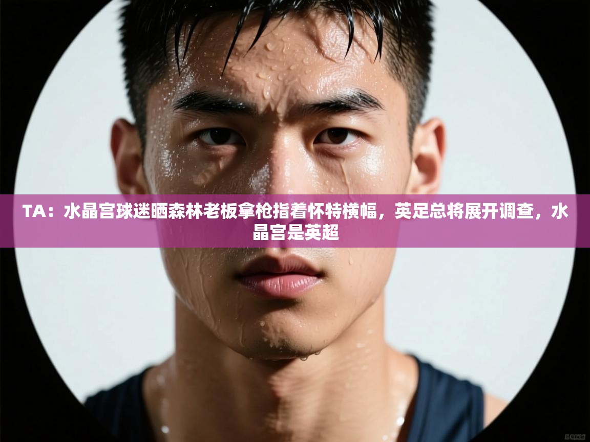 蓝鲸体育app下载电脑版官网-TA:水晶宫球迷晒森林老板拿枪指着怀特横幅,英足总将展开调查,水晶宫是英超 第2张