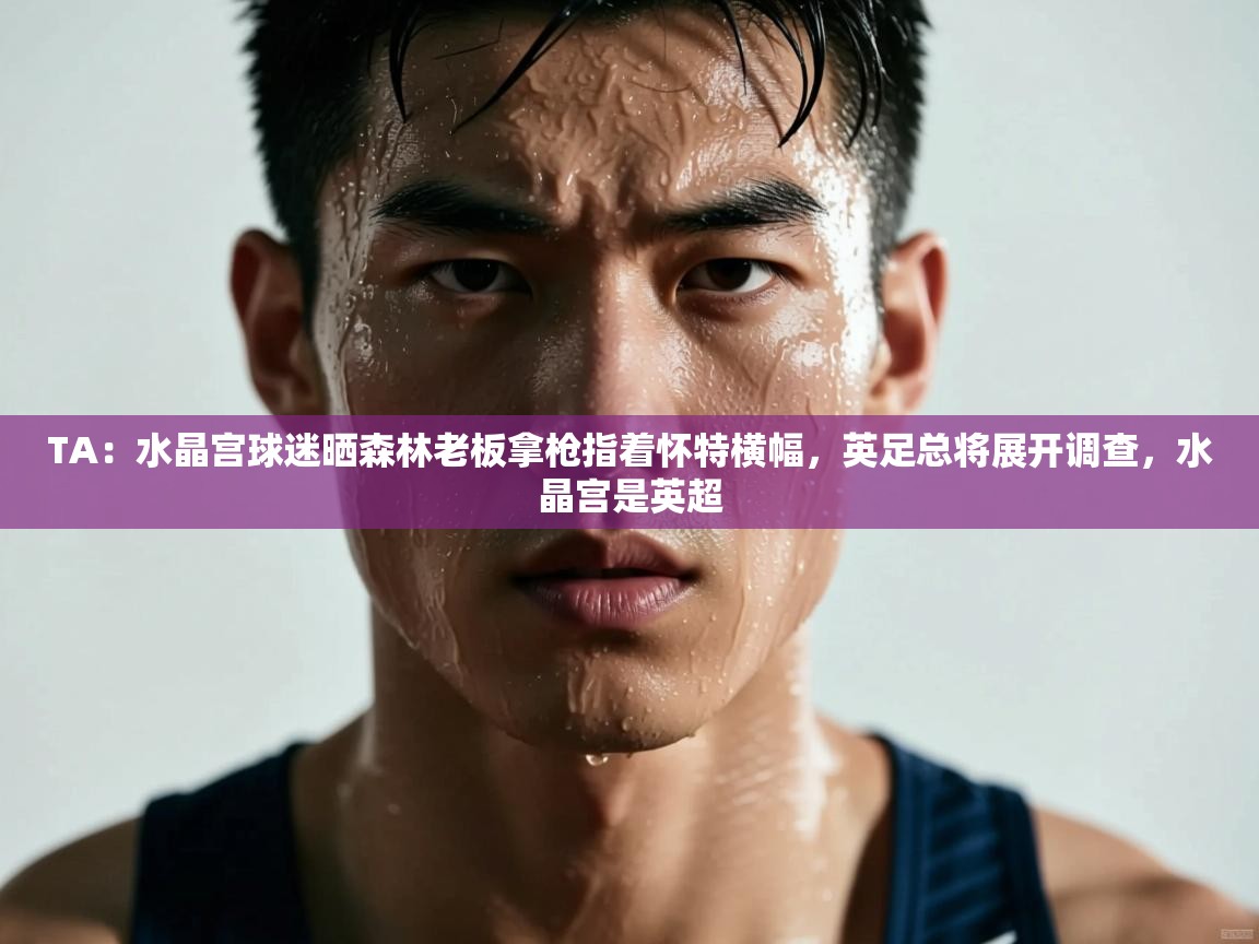 蓝鲸体育app下载电脑版官网-TA:水晶宫球迷晒森林老板拿枪指着怀特横幅,英足总将展开调查,水晶宫是英超 第1张