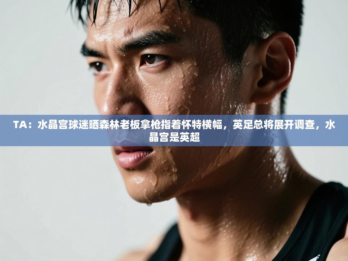 蓝鲸体育app下载电脑版官网-TA:水晶宫球迷晒森林老板拿枪指着怀特横幅,英足总将展开调查,水晶宫是英超 第3张