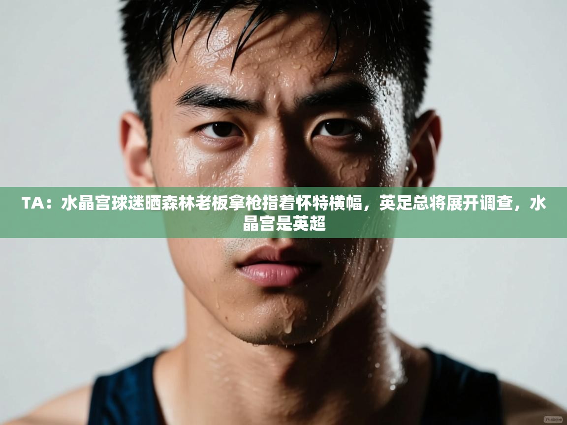 蓝鲸体育app下载电脑版官网-TA:水晶宫球迷晒森林老板拿枪指着怀特横幅,英足总将展开调查,水晶宫是英超 第4张