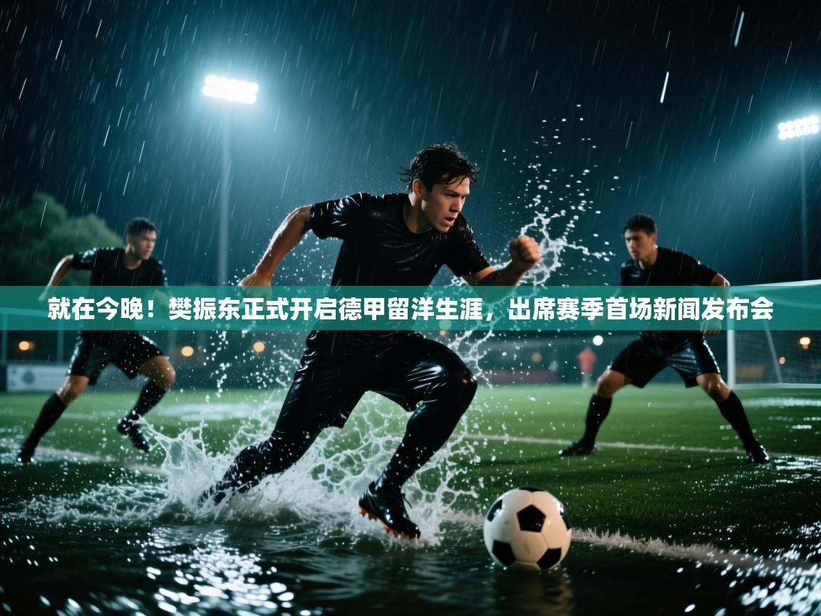 蓝鲸体育在线直播-就在今晚！樊振东正式开启德甲留洋生涯，出席赛季首场新闻发布会  第3张