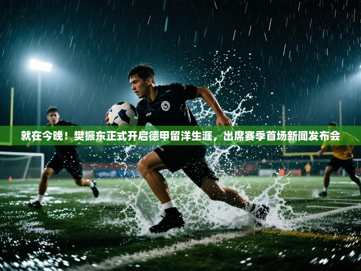 蓝鲸体育在线直播-就在今晚！樊振东正式开启德甲留洋生涯，出席赛季首场新闻发布会  第4张