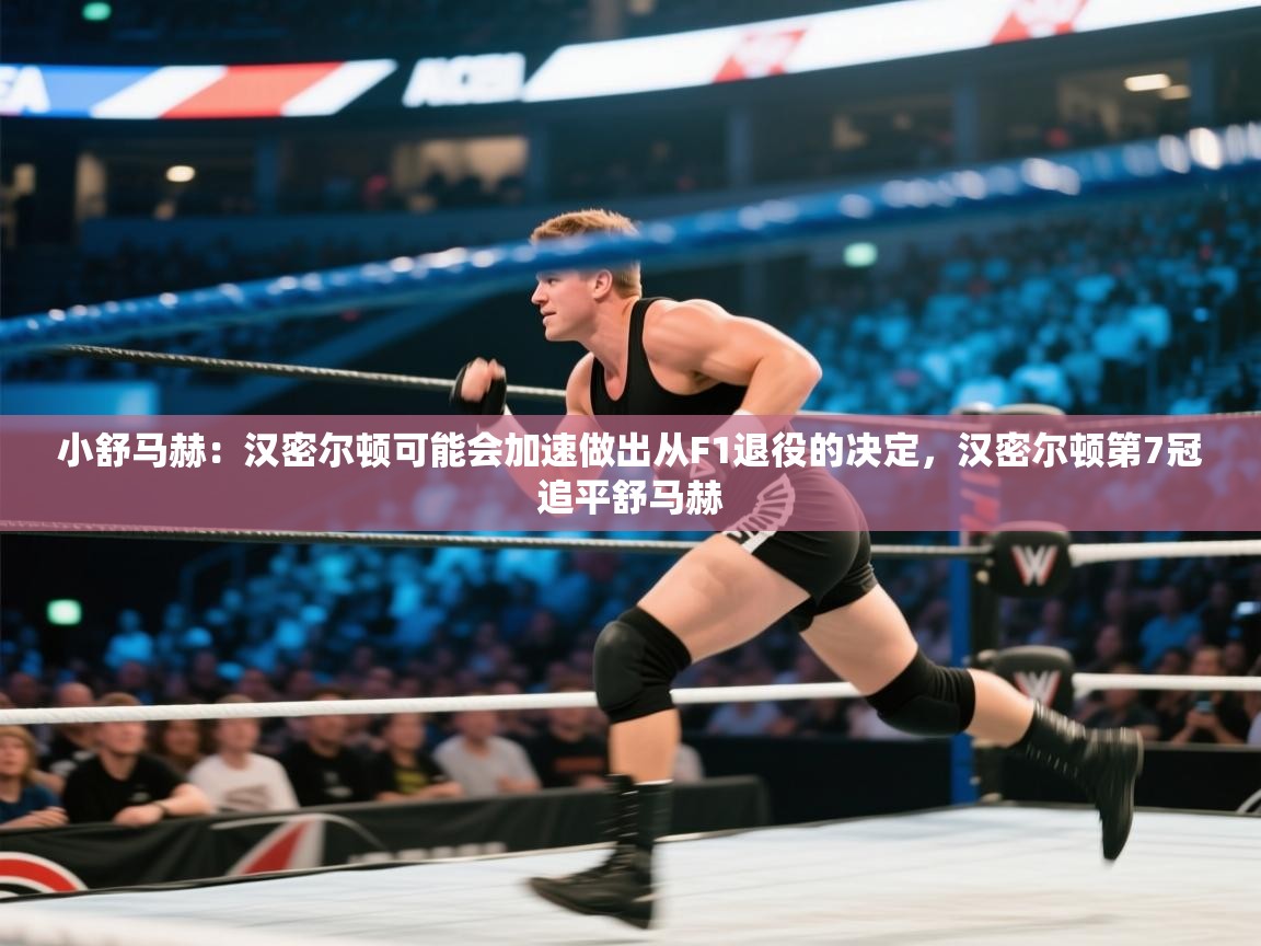 蓝鲸体育app下载电脑版官网-小舒马赫:汉密尔顿可能会加速做出从F1退役的决定,汉密尔顿第7冠追平舒马赫 第3张