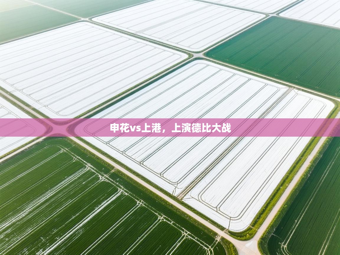 鲸蓝体育苹果-申花vs上港,上演德比大战 第4张