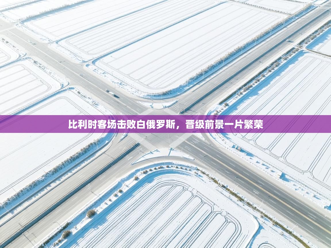 蓝鲸体育足球直播-比利时客场击败白俄罗斯，晋级前景一片繁荣  第1张