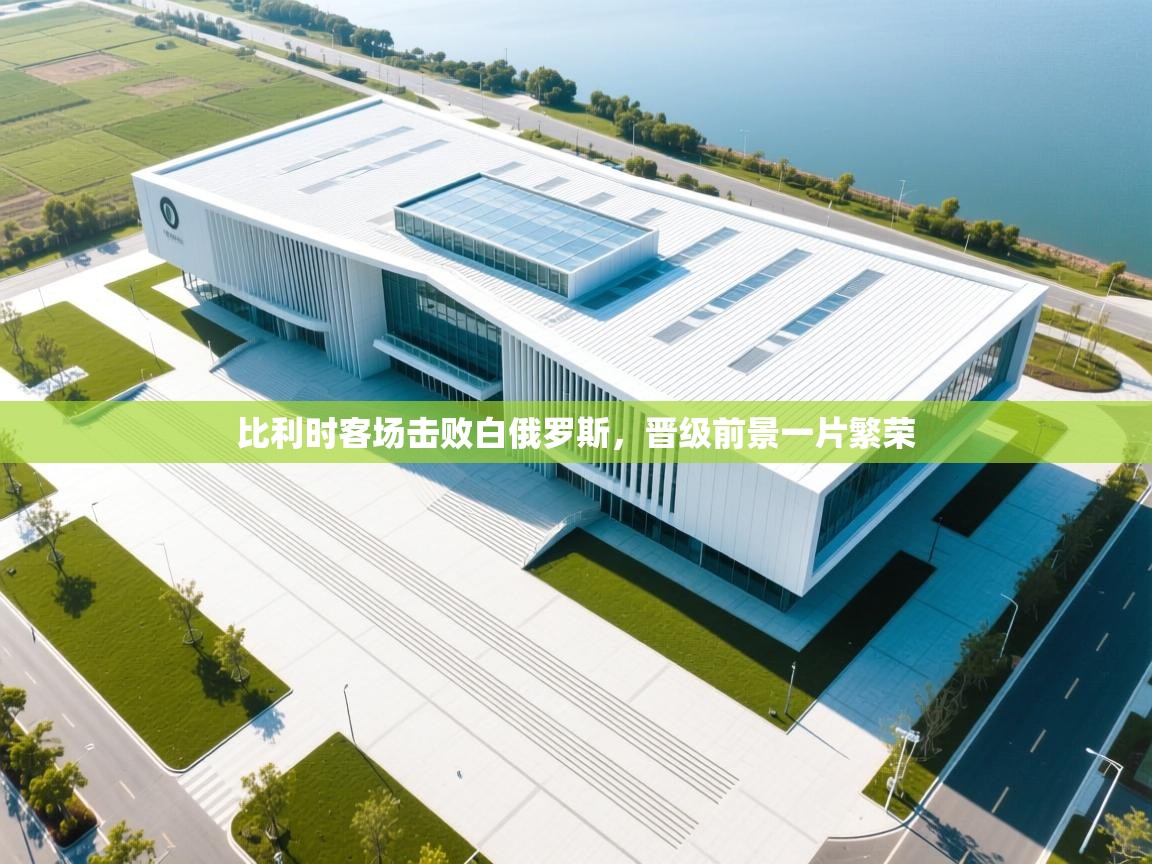 蓝鲸体育足球直播-比利时客场击败白俄罗斯，晋级前景一片繁荣  第3张