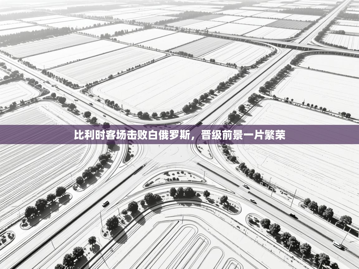 蓝鲸体育足球直播-比利时客场击败白俄罗斯，晋级前景一片繁荣  第4张