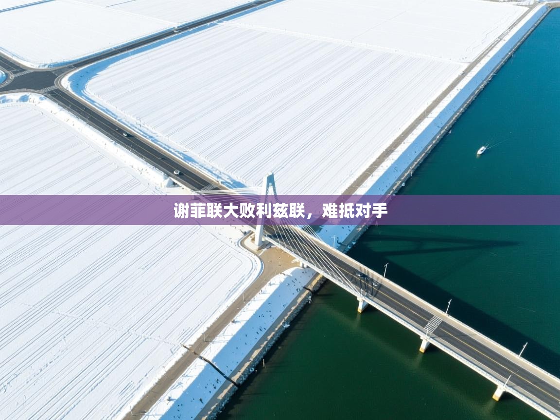 蓝鲸体育app电脑-谢菲联大败利兹联，难抵对手  第1张