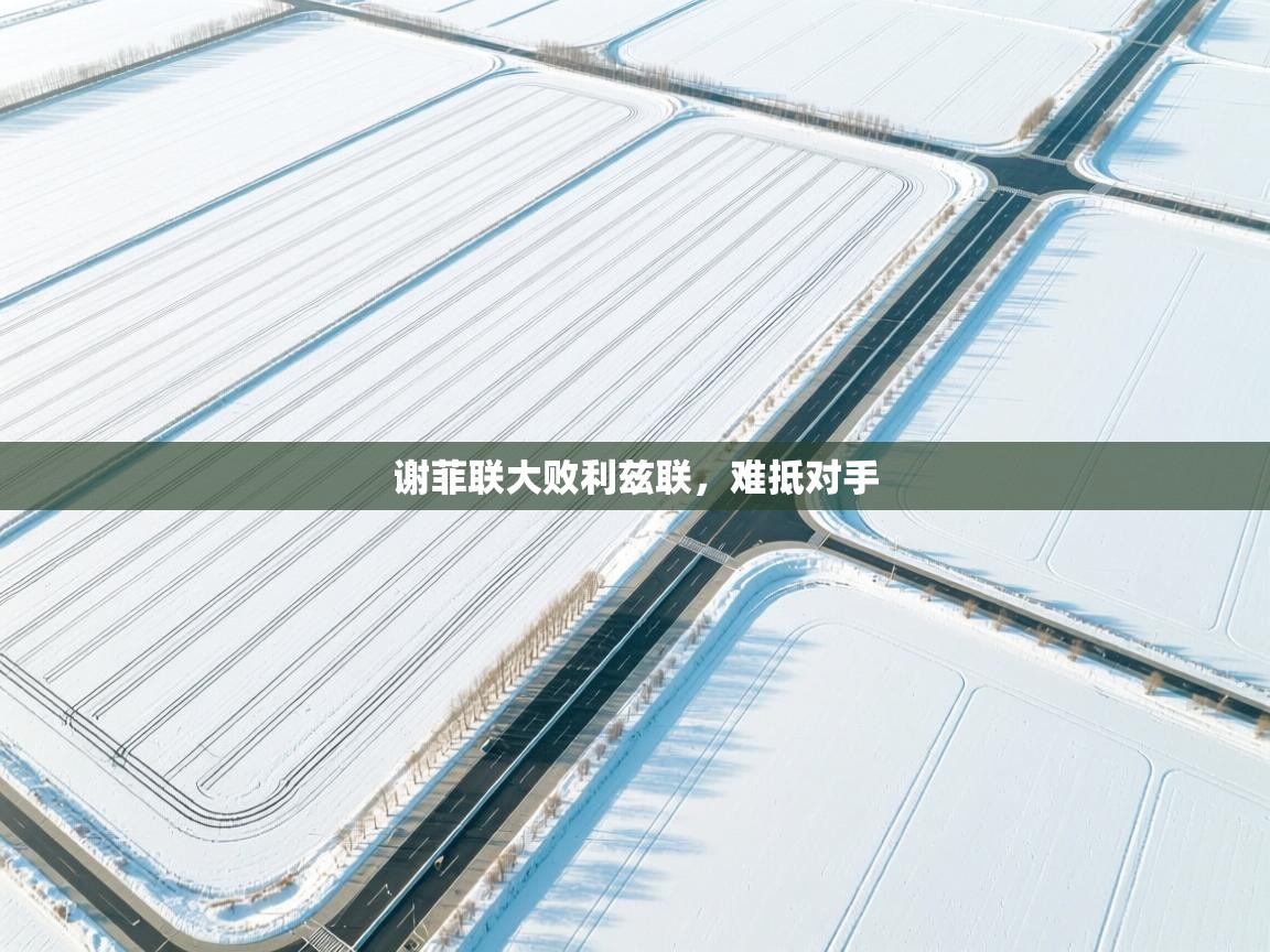 蓝鲸体育app电脑-谢菲联大败利兹联，难抵对手  第2张