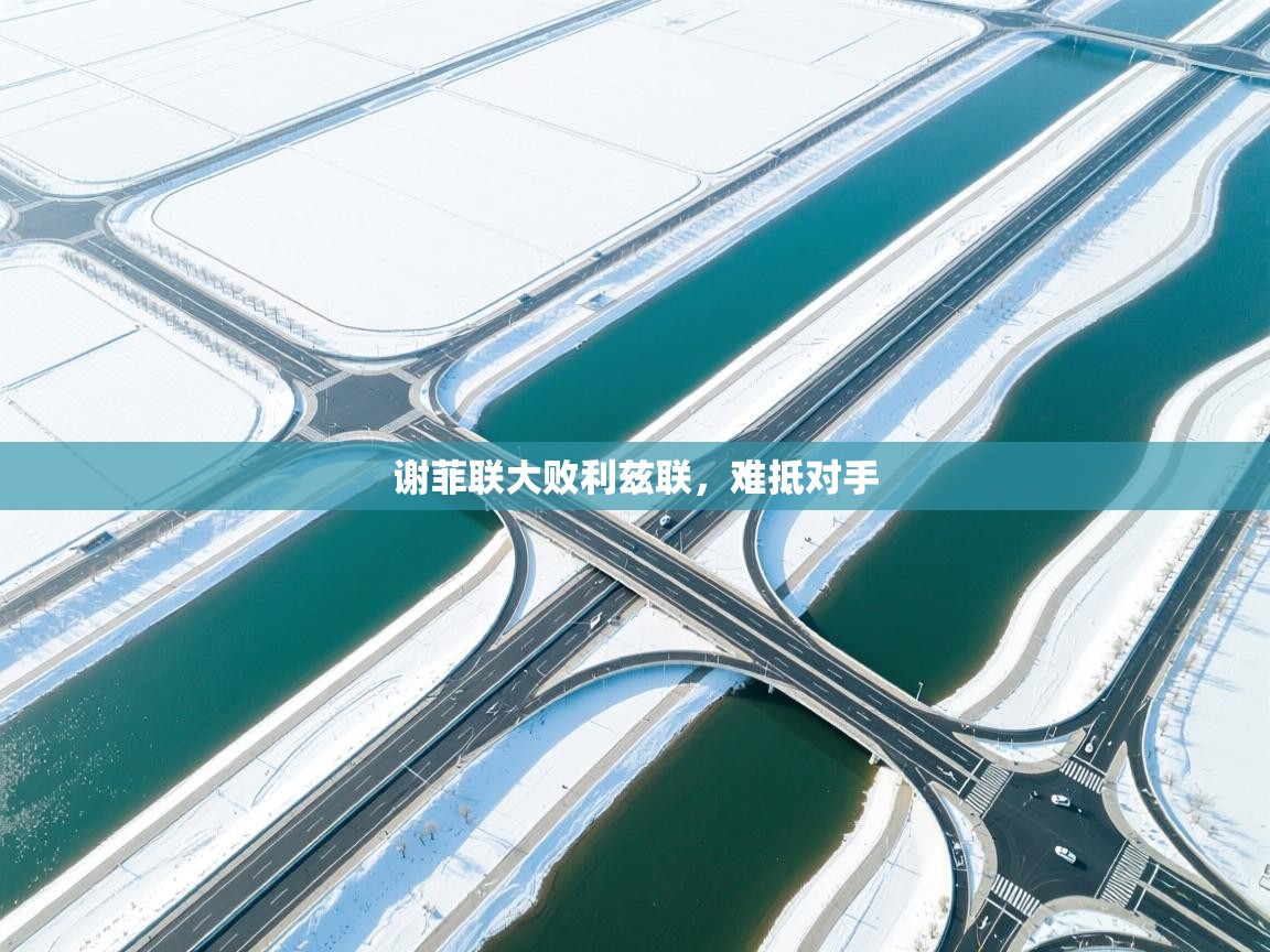 蓝鲸体育app电脑-谢菲联大败利兹联，难抵对手  第3张