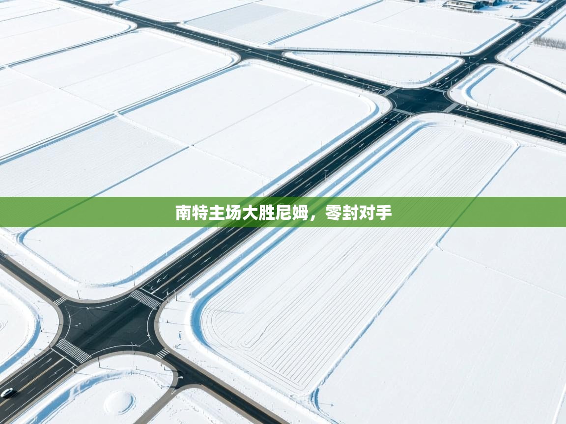 蓝鲸体育app官方入口-南特主场大胜尼姆,零封对手 第2张