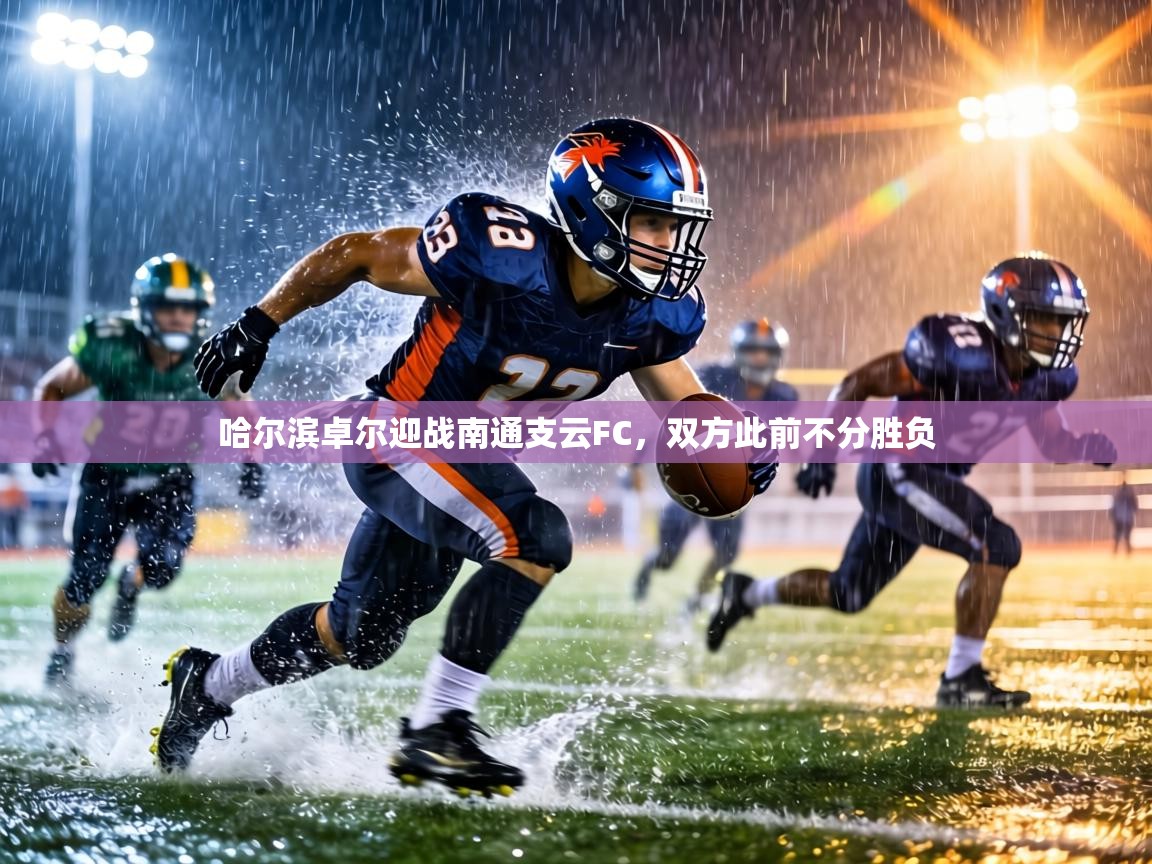 蓝鲸体育app-哈尔滨卓尔迎战南通支云FC，双方此前不分胜负  第1张