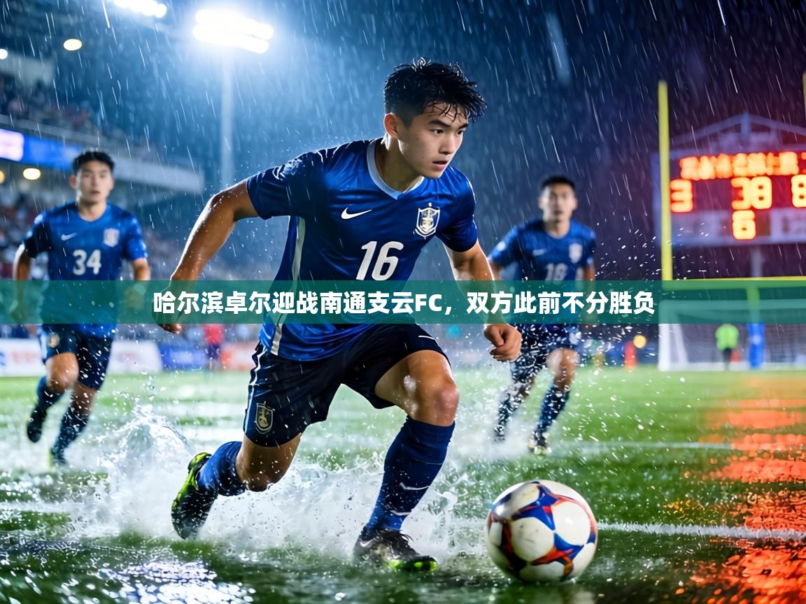 蓝鲸体育app-哈尔滨卓尔迎战南通支云FC，双方此前不分胜负  第2张