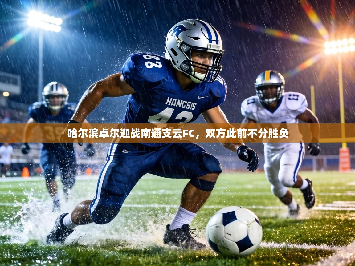 蓝鲸体育app-哈尔滨卓尔迎战南通支云FC，双方此前不分胜负  第3张