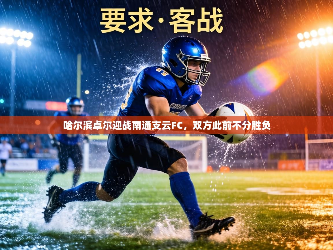 蓝鲸体育app-哈尔滨卓尔迎战南通支云FC，双方此前不分胜负  第4张